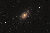 Astrophotography NGC 2403